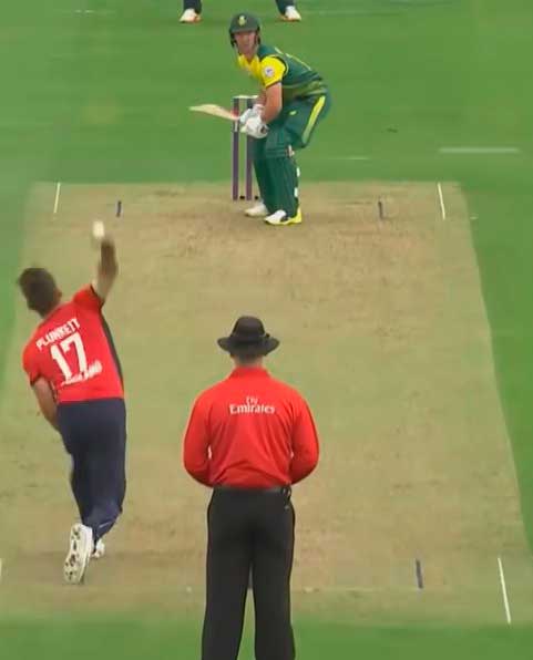 Cricket 1xBet